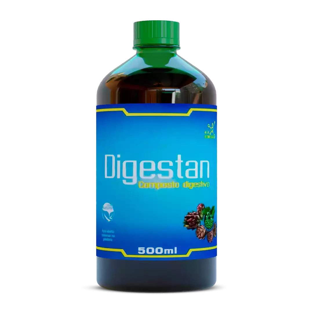 Render Digestan